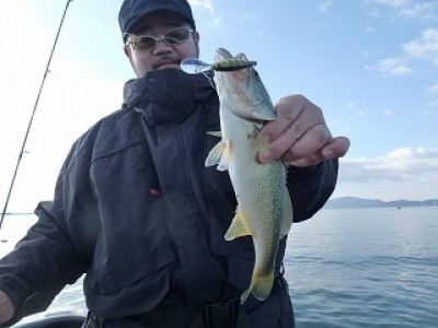 truth news ブログ写真 2012/11/22