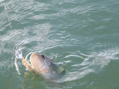 truth news ブログ写真 2012/11/22