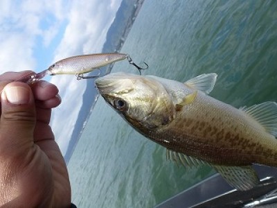 truth news ブログ写真 2012/11/22