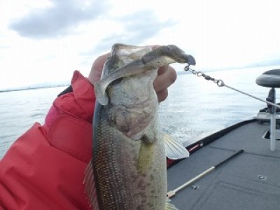 truth news ブログ写真 2012/11/22