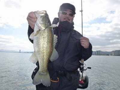 truth news ブログ写真 2012/11/22