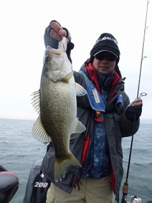 truth news ブログ写真 2012/11/24