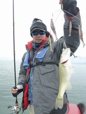 truth news ブログ写真 2012/11/24