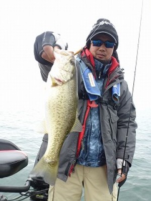 truth news ブログ写真 2012/11/24