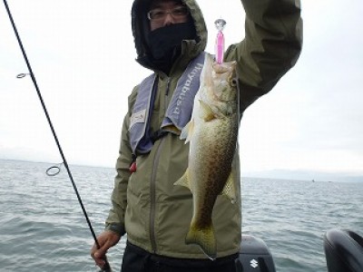 truth news ブログ写真 2012/11/24