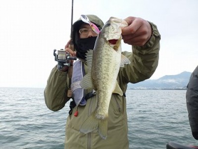 truth news ブログ写真 2012/11/24