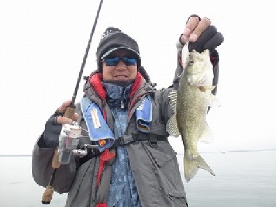 truth news ブログ写真 2012/11/24