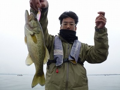 truth news ブログ写真 2012/11/24