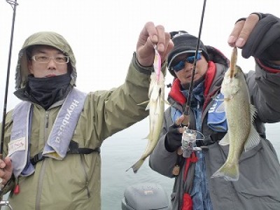 truth news ブログ写真 2012/11/24