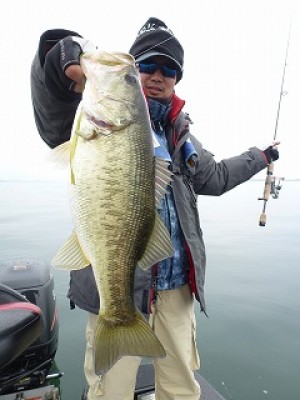 truth news ブログ写真 2012/11/24