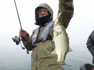 truth news ブログ写真 2012/11/24