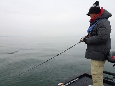 truth news ブログ写真 2012/11/24