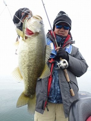 truth news ブログ写真 2012/11/24