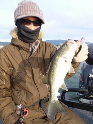 truth news ブログ写真 2012/11/25