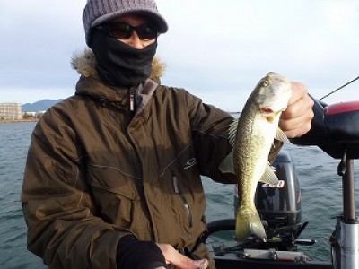 truth news ブログ写真 2012/11/25