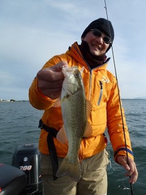 truth news ブログ写真 2012/11/25