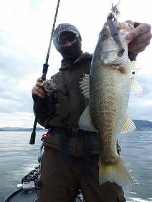 truth news ブログ写真 2012/11/25