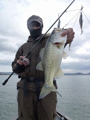 truth news ブログ写真 2012/11/25