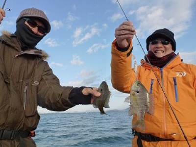 truth news ブログ写真 2012/11/25