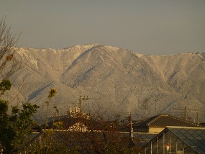 truth news ブログ写真 2012/12/03