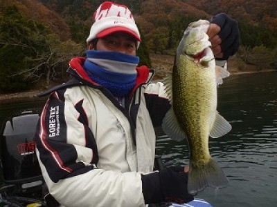 truth news ブログ写真 2012/12/03