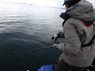 truth news ブログ写真 2012/12/13