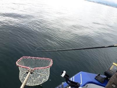 truth news ブログ写真 2012/12/13