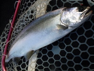 truth news ブログ写真 2012/12/13