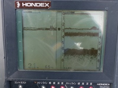 truth news ブログ写真 2012/12/13