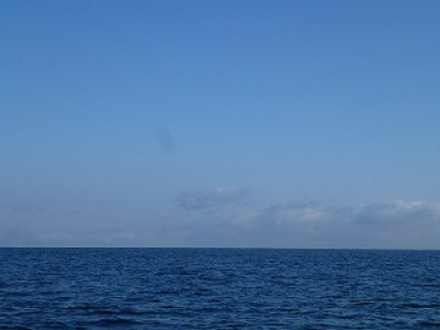 truth news ブログ写真 2012/12/13