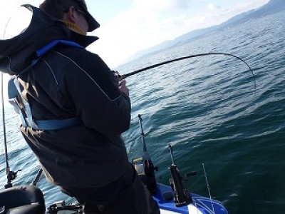 truth news ブログ写真 2012/12/13