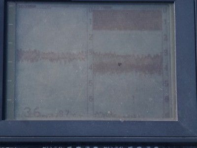 truth news ブログ写真 2012/12/17