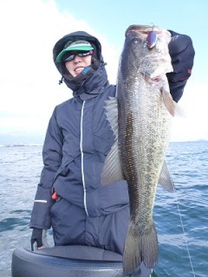 truth news ブログ写真 2012/12/17