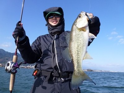 truth news ブログ写真 2012/12/17