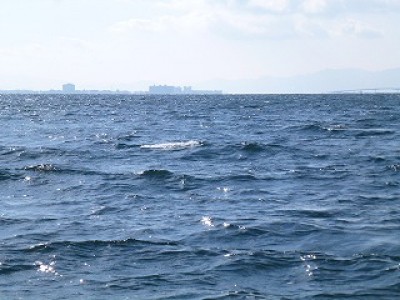 truth news ブログ写真 2012/12/20