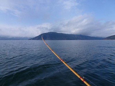 truth news ブログ写真 2012/12/20