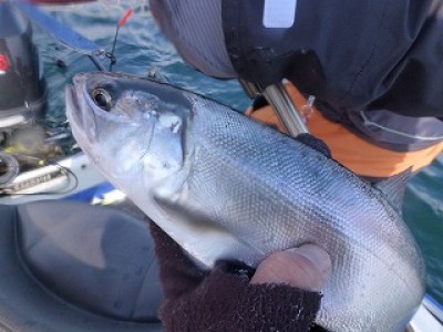 truth news ブログ写真 2012/12/20