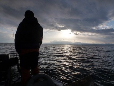 truth news ブログ写真 2012/12/20