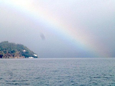 truth news ブログ写真 2012/12/24