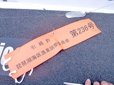 truth news ブログ写真 2012/12/24