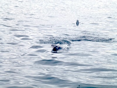 truth news ブログ写真 2012/12/24