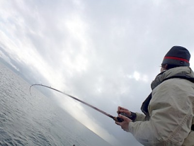 truth news ブログ写真 2012/12/24