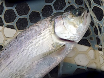 truth news ブログ写真 2012/12/24