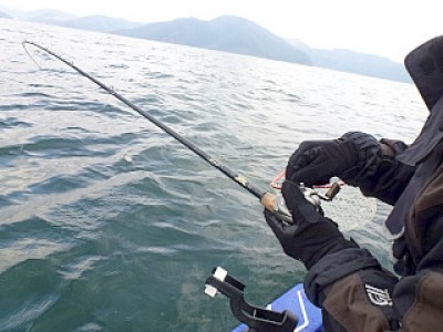 truth news ブログ写真 2012/12/25