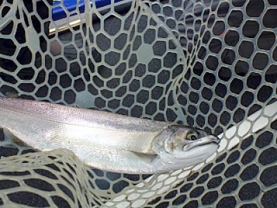 truth news ブログ写真 2012/12/25