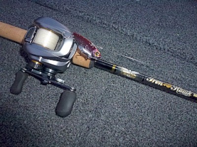 truth news ブログ写真 2013/01/04