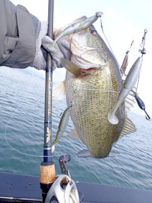 truth news ブログ写真 2013/01/07