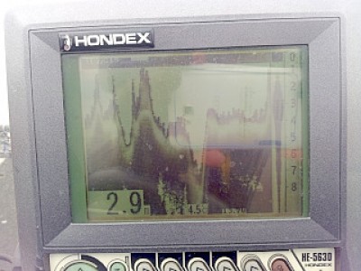 truth news ブログ写真 2013/01/13