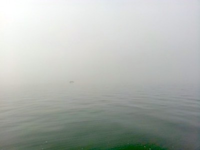 truth news ブログ写真 2013/01/14