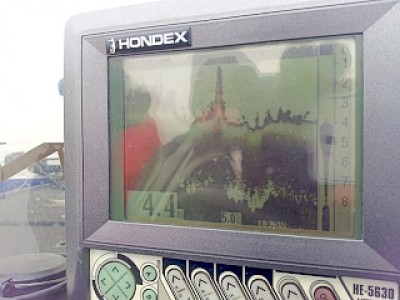 truth news ブログ写真 2013/01/14